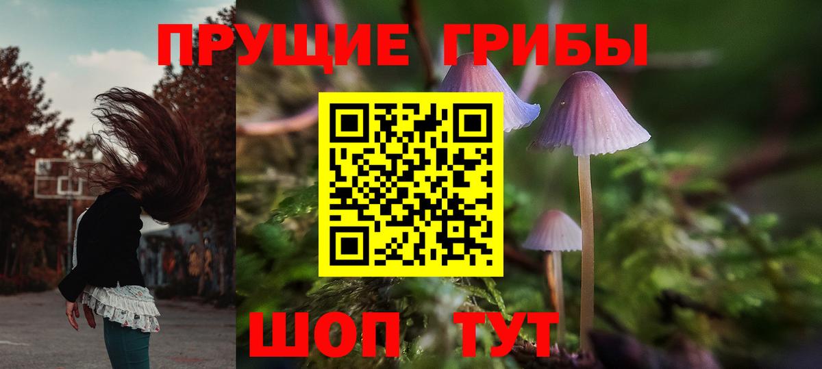 Псилоцибиновые грибы GOLDEN TEACHER  Псилоцибиновые грибы MAGIC MUSHROOMS  Благодарный 